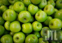Artikel 17072025 - Test Artikelbild -